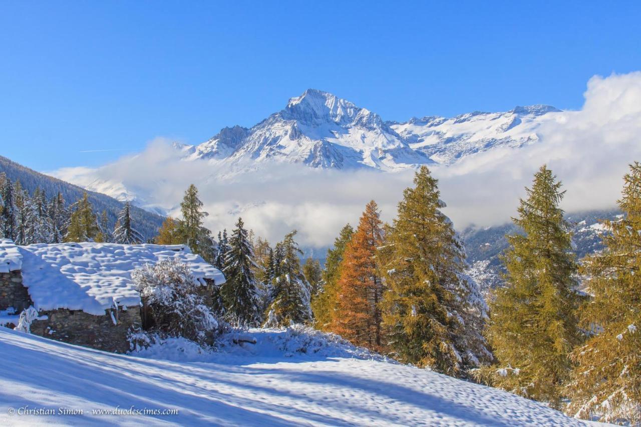 Les Balcons Proche Parc National Vanoise Appartements 2 Pieces 6 Pers Cabine 特米哥农 外观 照片